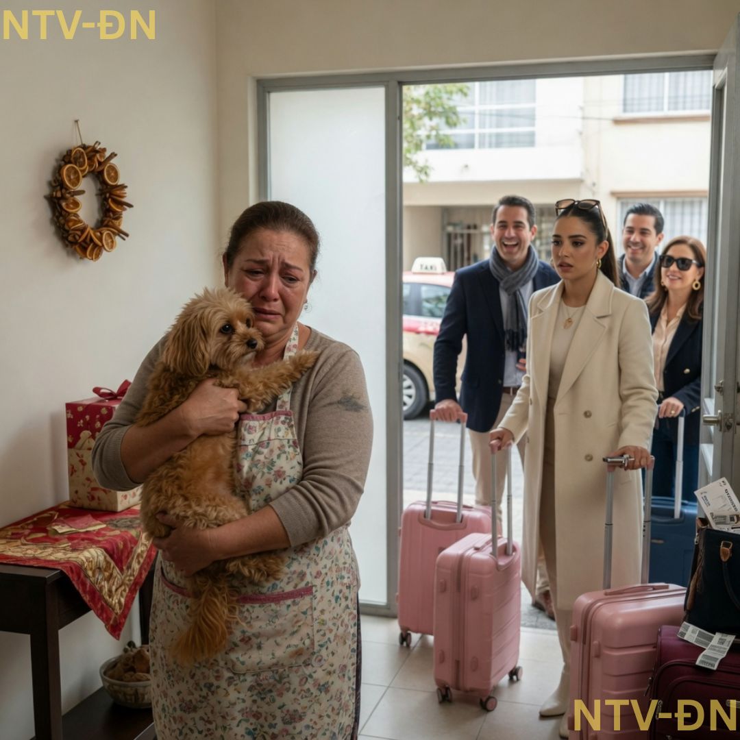 « Il a acheté des cadeaux pour toute la famille… et laissa sa propre mère à la maison pour s’occuper du chien » : l’humiliation du Nouvel An qui a fini par révéler une vérité que personne ne voulait affronter