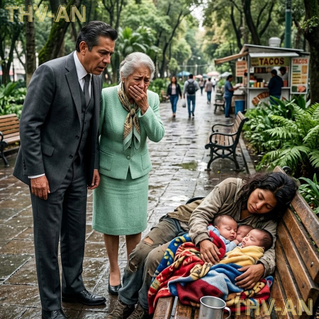 El millonario paseó con su madre y encontró a su exnovia durmiendo en una banca con tres bebés que llevaban su sangre.