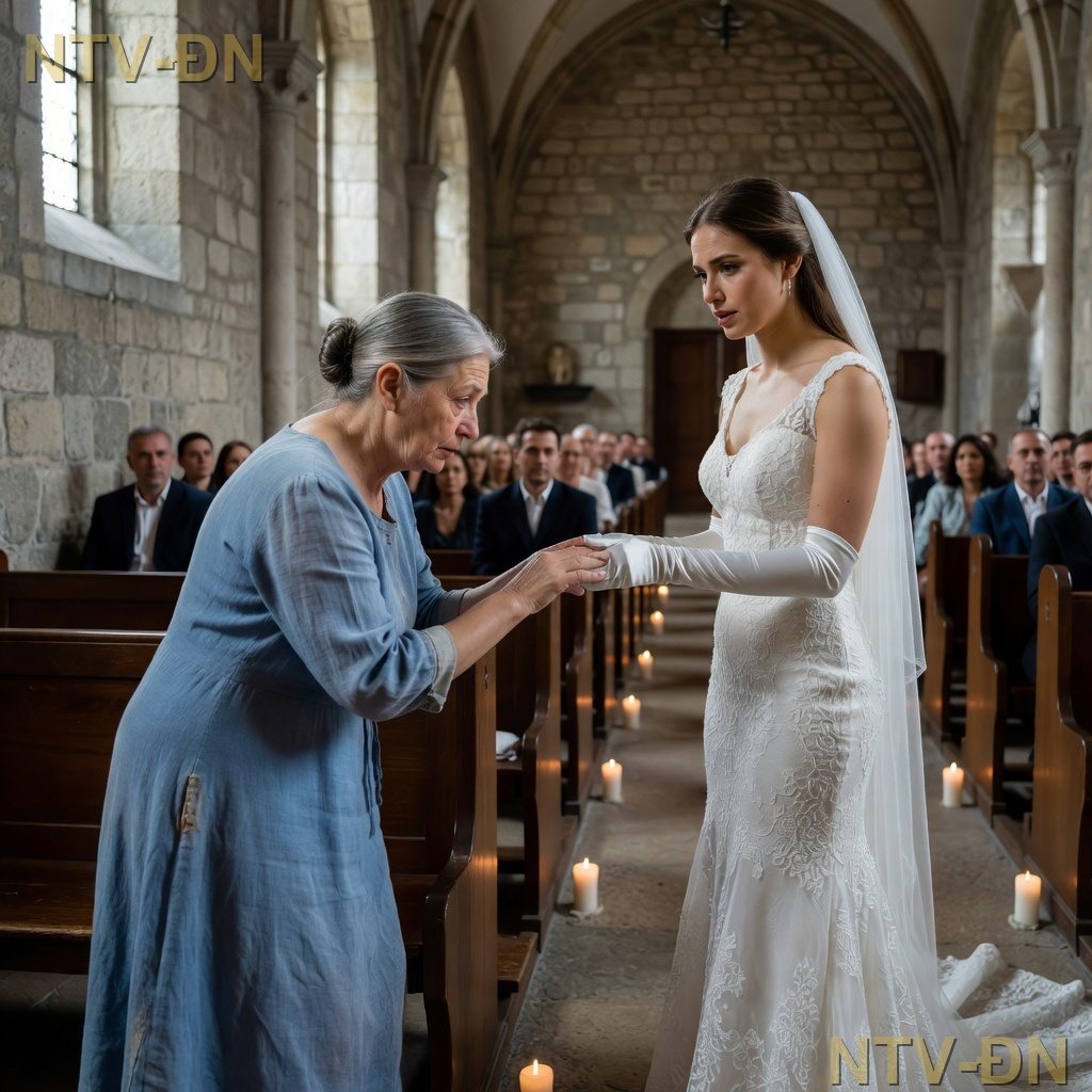 Die Mutter des Bräutigams erschien in einem abgetragenen blauen Kleid, und alle tuschelten … bis die Braut mitten im Gang stehen blieb und etwas sagte, das die gesamte Kirche zum Weinen brachte.